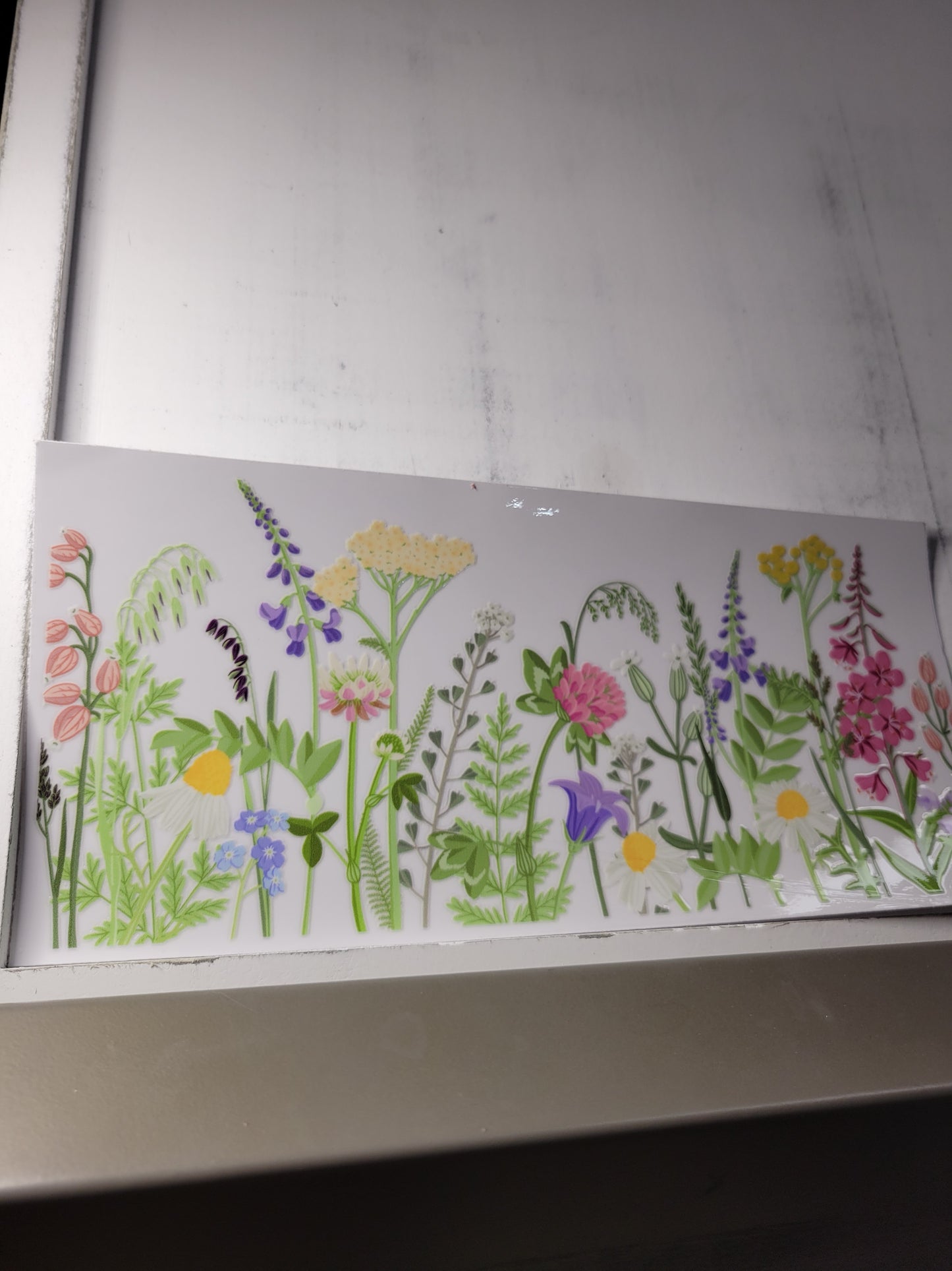 Floral Tumblers
